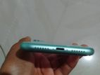 Apple iPhone 11 (Used)