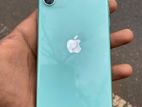 Apple iPhone 11 (Used)