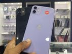 Apple iPhone 11 (Used)