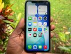 Apple iPhone 11 (Used)