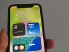 Apple iPhone 11 (Used)