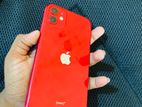 Apple iPhone 11 (Used)