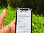 Apple iPhone 11 (Used)