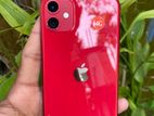 Apple iPhone 11 (Used)