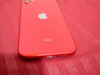 Apple iPhone 11 (Used)