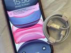 Apple iPhone 11 (Used)