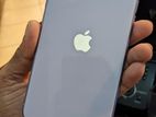 Apple iPhone 11 (Used)