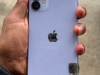 Apple iPhone 11 (Used)