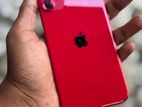 Apple iPhone 11 (Used)