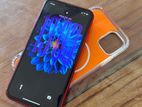 Apple iPhone 11 (Used)