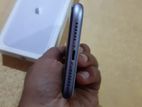 Apple iPhone 11 (Used)