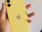 Apple iPhone 11 (Used)