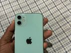 Apple iPhone 11 (Used)