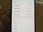 Apple iPhone 12 (Used)