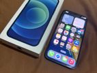 Apple iPhone 12 128GB (Used)