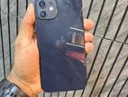 Apple iPhone 12 128GB (Used)