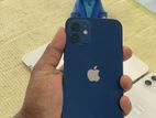 Apple iPhone 12 128GB (Used)