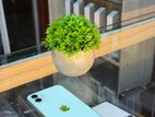 Apple iPhone 12 128GB (Used)