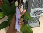 Apple iPhone 12 128GB (Used)