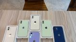 Apple iPhone 12 128GB (Used)