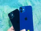 Apple iPhone 12 256GB (Used)