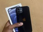 Apple iPhone 12 256GB (Used)