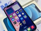 Apple iPhone 12 256GB (Used)