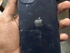 Apple iPhone 12 256GB (Used)