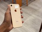 Apple iPhone 12 64GB (Used)