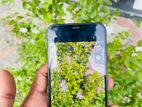 Apple iPhone 12 128GB (Used)