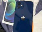 Apple iPhone 12 (Used)