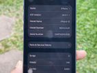 Apple iPhone 12 (Used)