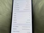 Apple iPhone 12 (Used)