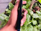 Apple iPhone 12 mini 128GB (Used)