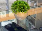 Apple iPhone 12 mini (Used)