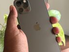 Apple iPhone 12 Pro 256GB (Used)
