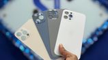 Apple iPhone 12 Pro Back Glass