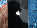 Apple iPhone 12 Pro Max (Used)