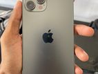 Apple iPhone 12 Pro Max 256 GB (Used)