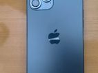 Apple iPhone 12 Pro Max 256GB (Used)
