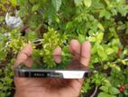 Apple iPhone 12 Pro Max (Used)
