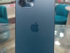 Apple iPhone 12 Pro Max (Used)