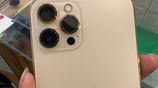 Apple iPhone 12 Pro Max (Used)