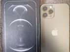 Apple iPhone 12 Pro Max (Used)