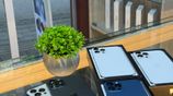 Apple iPhone 12 Pro Max (Used)