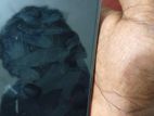 Apple iPhone 12 Pro (Used)