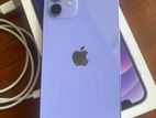 Apple iPhone 12 Purple (Used)
