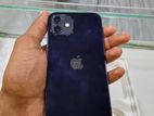 Apple iPhone 12 (Used)