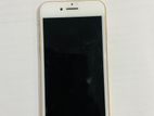 Apple iPhone 12 (Used)