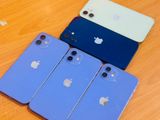 Apple iPhone 12 (Used)